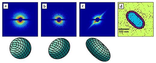 Figure 4. Diffraction images of pure helium droplets made with femtosecond x-ray pulses. (a–c) Images represent circular, elliptical, and streaked patterns, respectively, with corresponding three-dimensional representations of the droplet shapes placed below each diffraction pattern. Diffracted x-ray intensities are displayed in a logarithmic color scale. (d) A droplet outline is reconstructed from the diffraction pattern in panel c using an inverse Fourier transform. (Adapted from ref. 14.)
