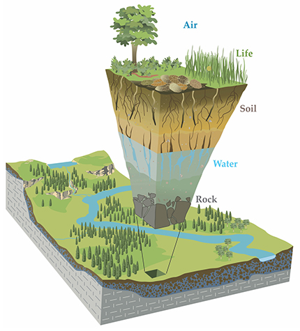 . The critical zone extends from treetops down to bedrock. Scientists from many disciplines are teaming up to understand how its components interact and to predict how they react to changes in land use and other anthropogenic activities. (Based on an image by Ralph Kindlimann. Courtesy of Jon Chorover and colleagues, Catalina-Jemez Critical Zone Observatory.)