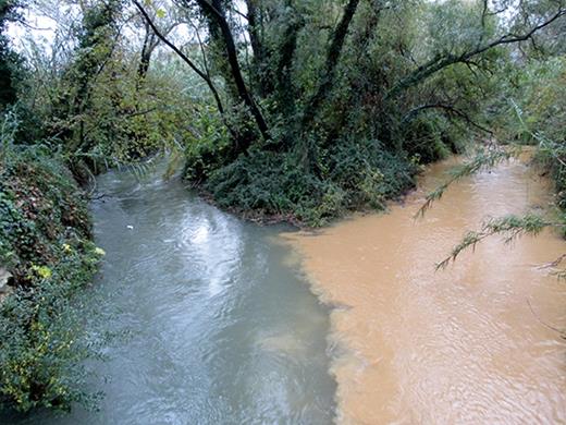 . Flash floods, like this one at the Koiliaris Critical Zone Observatory on Crete, are an important part of the surface-water budget in the fractured karst limestone bedrock of the Mediterranean region. Although this tributary floods only three or four times a year, flash floods collectively carry up to 70% of its suspended sediments and many pollutants to sea.