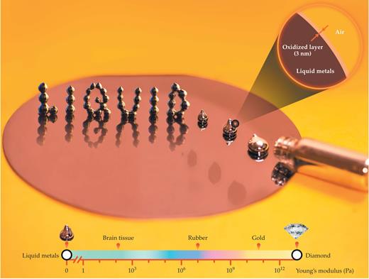 Figure 1. Liquid metals based on gallium can be patterned into nonspherical shapes, such as wires, that remain stable due to a very thin oxide layer on their surface. Here, droplets of liquid metal have been 3D printed into self-supporting structures. The droplets are about 200 µm in diameter, about twice the diameter of a human hair. The structures are extremely soft, which makes them interesting candidates for soft and stretchable conductors. (Image courtesy of Collin Ladd, Dishit Parekh, and Jie Sun.) 