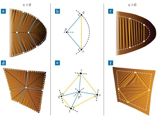 Figure 2. Thin curved sheets that are pressed onto a flat surface often exhibit ordered wrinkle patterns. (a, d) For sheets with negative curvature κ, wrinkles form along line segments (solid blue lines) that follow the shortest path to the sheet boundary (dashed white line) from a medial axis (dashed black line)—the set of points that have two or more closest edge points. (b, e) The line segments form the two equal-length sides of isosceles triangles. (c, f) Sheets with positive curvature produce wrinkles that form along the triangles’ opposite legs (solid yellow lines). The area bounded by the yellow polygon in panel f is characterized by disordered wrinkle patterns. (Adapted from ref. 1.) 