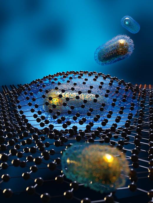 An illustration of a liquid cell trapped between two sheets of graphene, as part of a technique used to image the organic molecules that surround gold nanorods and influence their growth and behavior. Credit: Electron Microscopy for Materials Science, University of Antwerp