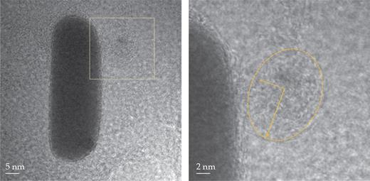 Electron microscopy images of a gold nanorod in solution captured the moment when a ball of organic molecules moved toward the nanorod and attached to it. The interaction of organic molecules with nanoparticles in solution can dictate their size, shape, and interactions. Credit: A. Pedrazo-Tardajos et al., Nat. Chem. (2024)