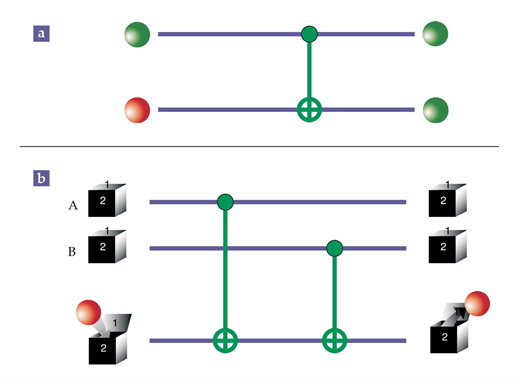 Quantum logic of a collective measurement. (a) A controlled-NOT gate flips the target qubit if the control qubit (on top) is green. Otherwise, it acts trivially. (b) A collective observable of two data qubits (marked A and B) is measured by preparing an ancilla qubit, executing two controlled-NOT gates, and then measuring the ancilla.