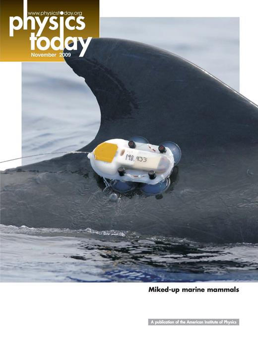 Physics Today Cover Image for Volume 62, Issue 11