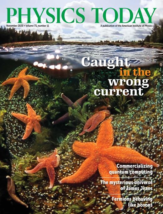 Physics Today Cover Image for Volume 73, Issue 11