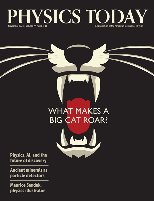 Physics Today Cover Image for Volume 77, Issue 11