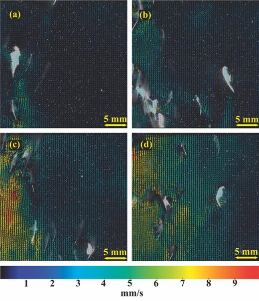 FIG. 5. Velocity field measurements during DVM. Time series for a representative set acquired with the second time delay (τ2 = 47 s), which corresponds to the middle of the migration. The development of the downward jet is shown for the following times: t = τ2 s (a), t = τ2 + 8 s (b), t = τ2 + 16 s (c), t = τ2 + 24 s (d).