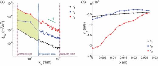 FIG. 6. Kinetic energy spectra and vertical velocity profiles during vertical migration. (a) Vertical component of the velocity spectrum tensor for the three time delays corresponding to different stages in the migration at which data were acquired. The vertical lines indicate the wavenumbers corresponding to the domain size (i.e., field of view), organism size, and the Nyquist limit (i.e., twice the PIV vector spacing). The yellow shaded region indicates increasing kinetic energy at length scales greater than the individual animal size (i.e., wavenumbers smaller than that corresponding to the individual animal size). (b) Mean vertical velocity along a horizontal transect across the center of the field of view for each stage of the migration. The left edge of the field of view approximately matches the central region of the green laser sheet (see Figure 2).