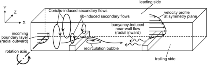 Turbulent flow in rib-roughened channel under the effect of Coriolis ...