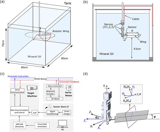 FIG. 1. Schematics of the experimental setup and definition of coordinates: (a) a schematic of the experimental setup, (b) front view of the experimental setup, (c) flow chart for motion control and data acquisition, and (d) coordinate system and wing kinematic angles. Here, subscripts i, r, f, p, and w denote inertial, rotating, flapping, pitching, and wing frame, respectively.