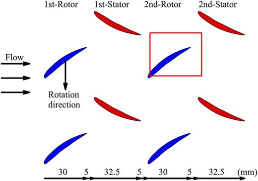 FIG. 2. Layout of sample areas used in the present experiments.