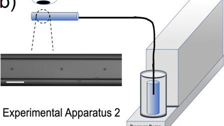 Simultaneous measurement of rheological properties in a microfluidic ...