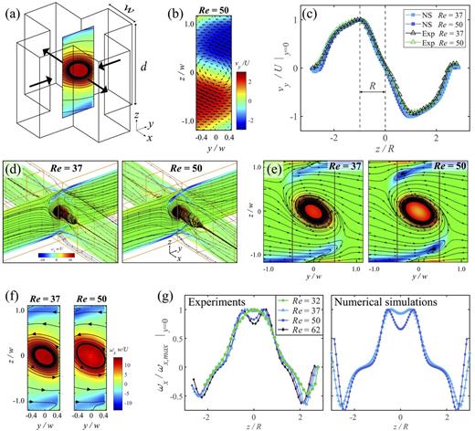 FIG. 2. Vortex stretched in a four-way intersection with α = d/w = 2.4 and 32 &lt; Re &lt; 62. (a) A schematic diagram of the flow intersection, inflow along y and outflow along x. (b) Experimental contour plots of normalized velocity, vy/U. (c) Velocity profile vy/U as a function of z/R, the radius of the vortex R, is indicated; numerical simulations showing contour plots of vorticity ωxw/U in (d) 3D view and (e) across the zy plane (x = 0). (f) Experimental contour plot of vorticity, ωxw/U, across the zy plane. (g) Normalized vorticity, ωx/ωx,max, as a function of z/R. Multimedia view (f): https://doi.org/10.1063/5.0031712.1