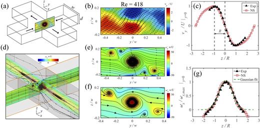 FIG. 3. Vortex stretched in a four-way intersection, where α = d/w = 0.45 and Re = 418. (a) A schematic diagram of the flow intersection, inflow along y and outflow along x. (b) Experimental contour plots of normalized velocity, vy/U. (c) Velocity profile vy/U as a function of z/R, the radius of the vortex R, is indicated; numerical simulations showing contour plots of vorticity ωxw/U in (d) 3D view and (e) across the zy plane (x = 0). (f) Experimental contour plot of vorticity, ωxw/U, across the zy plane. (g) Normalized vorticity, ωx/ωx,max, as a function of z/R. Multimedia view (f): https://doi.org/10.1063/5.0031712.2