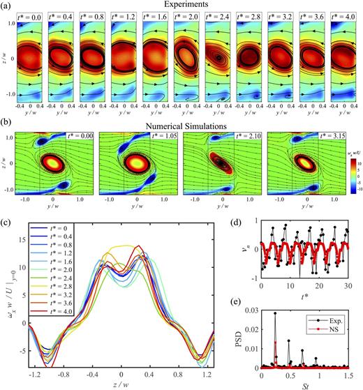 FIG. 5. Periodic fluctuations for α = 2.4, Re = 87. (a) Experimental and (b) numerical contour plots of vorticity, ωxw/U, showing snapshots from the full cycle of the fluctuation. (c) Vorticity distribution along the z-direction (x = y = 0), over a single cycle of the periodic fluctuation extracted from experimental data. (d) Normalized velocity vn [see Eq. (7)] is plotted as a function of t* from experiments and simulations. (e) Power spectral density (PSD) plotted as a function of Strouhal number (St). Multimedia views (a) and (b): https://doi.org/10.1063/5.0031712.3; https://doi.org/10.1063/5.0031712.4
