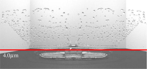 FIG. 5. Visualization of the splashing threshold height (4 μm) used for splashed mass ratio calculation. The splashing threshold height distinguishes between pre-impinged, deposited and splashed liquid mass at any instant during impingement. Note all secondary droplets cross the threshold height after splashing occurs.