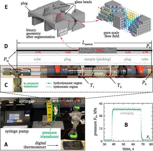 Correct estimation of permeability using experiment and simulation ...