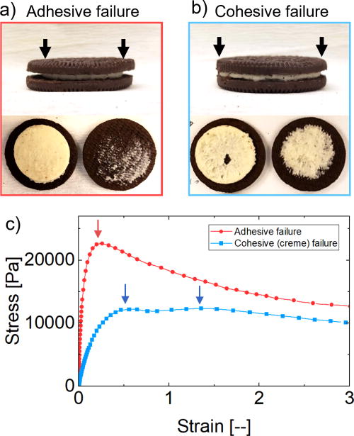 FIG. 7. (a) While most creme layers failed adhesively in boxes of new cookies, (b) cookies exposed to adverse conditions may cause creme to spread from its initial manufactured state, and then cohesive failure was typical for most cookies in the box. These visual signs of changing creme fill levels (indicated by the black arrows in (a) and (b) are typical but not deterministic predictors of failure mode. (c) Failure tests also distinguished between cases in the computed stress–strain curves resulting from the measured torque as a function of imposed rotation angle. There was a single peak stress for adhesive failure, which occurs as a single delamination step, and two or more maxima in stress for cohesively failing creme layers due to the more complex dynamics of cohesive failure propagation along nonplanar surfaces. Cohesive failure was also typically observed to result in a higher failure strain and lower failure stress, as shown here.