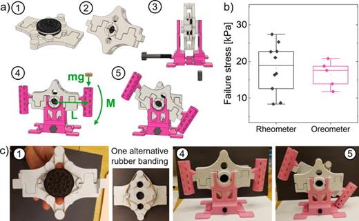 FIG. 10. A 3D printed Oreometer is used to perturb cookies with scientific precision by applying a known and controlled torque. (a) In this device, (1) the cookie is mounted first into one half and then (2) the second half of the rubber band-powered clamps, which are then (3) placed into the vertical assembly mount. (4) “Penny castles” are mounted on the wings, and coins are successively loaded to one side to apply controlled torque until (5) the creme yields. (b) Results replicate values measured by the laboratory rheometer. (c) Photographs demonstrate the same tool, also including the rubber bands in two different arrangements designed to apply different levels of gripping strength in the clamps.