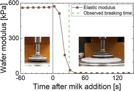 FIG. 9. A wafer was mounted on the laboratory rheometer and subjected to milk imbibition at a time t=0 s. The shear elastic modulus of the wafer dropped to 0.5% of its initial value after 40 s and settled at a new equilibrium static value of 1 kPa. Inset images show the dry wafer on the rheometer at early times and the wafer surrounded by milk at later times.
