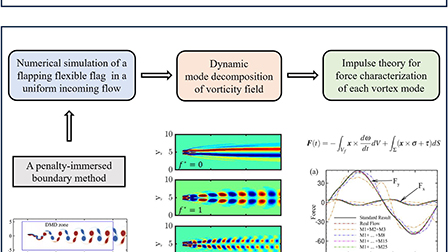 Force decomposition on flapping flexible plate via impulse theory and ...