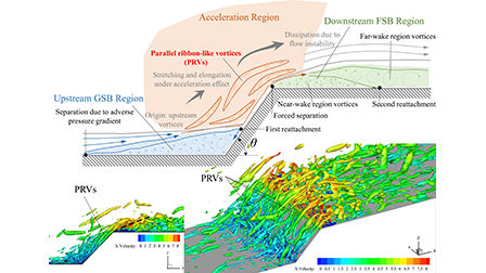 Parallel ribbon vortex: A phenomenological flow feature in an ...