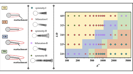 Flow-induced response and wake characteristics of a flexible splitter ...