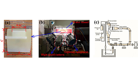 Proper orthogonal decomposition analysis of the cavitating flow around ...
