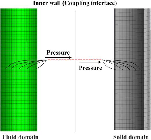 Oil–water two-phase flow-induced vibration of a cylindrical cyclone ...