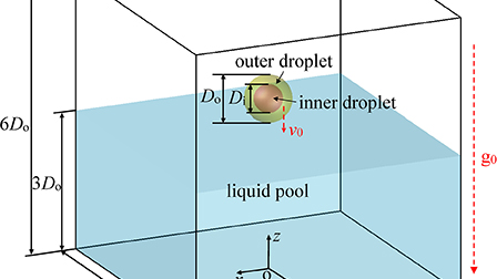 Hydrodynamics during an immiscible compound droplet impact on a liquid ...