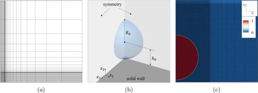 Initialization of the vapor bubble and the imposed boundary conditions. (a) Entire computational domain with refined zone and attached coarse mesh [for the refined zone in (a) only every 10th grid line is shown]; (b) isosurface (   α = 0.01) visualizing initial bubble surface and adjacent boundaries; and (c) closeup of the initial vapor volume fraction    α   ( − ) and computational grid in the refined region.