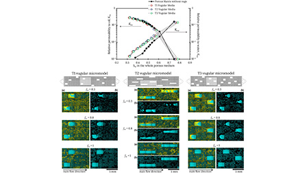 Relative permeability measurement and two-phase flow visualization in ...