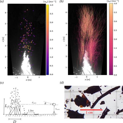 (a) Example frame from the video recordings after perspective warping, with arrows indicating firebrands tracked in the frame and colored by the measured velocity magnitude. (b) Firebrand pathlines for a subset of trajectories. Aluminum ember collection trays can be seen in the lower left. (c) Representative schematic of the experimental set-up. (d) Example of embers imaged under a microscope for shape and size characterization.