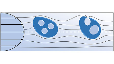 Kinetics and morphology of multi-core compound drops in pressure-driven ...