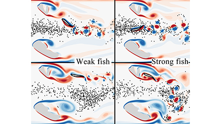 A numerical simulation research on fish adaption behavior based on deep ...