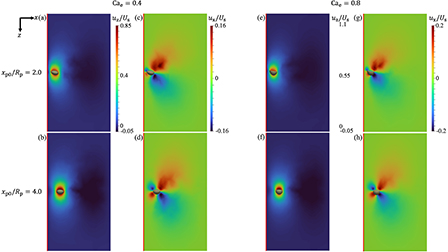 Numerical simulations of the sedimentation of soft particles in ...