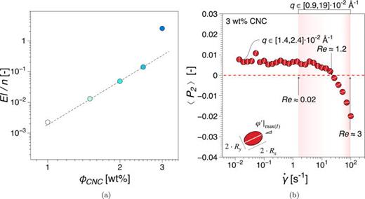 (a) El/n vs CNC concentration. (b) Hermans orientation parameter,    ⟨  P 2 ⟩, representation from rheo-SAXS experiments as function of shear rate for the 3 wt. % CNC suspension. The datapoints plotted correspond to the azimuthal integration of the scattering intensity over    q ∈ [ 1.4 , 2.4 ] ×   10  − 2 Å−1. The marked region corresponds to the shear rate / Re range for orientation in the flow direction within    q ∈ [ 0.9 , 19 ] ×   10  − 2 Å−1, estimation based on a broader range of experiments (not shown).