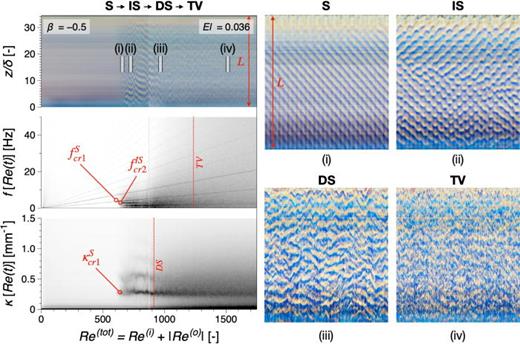 Transition sequences for the 1 wt. % CNC suspension    β = − 0.5. The left column contains the space-time visualization (top), temporal spectrogram (middle), and spatial spectrogram (bottom), while on the right side specific instability modes are highlighted as details from the space-time visualization.