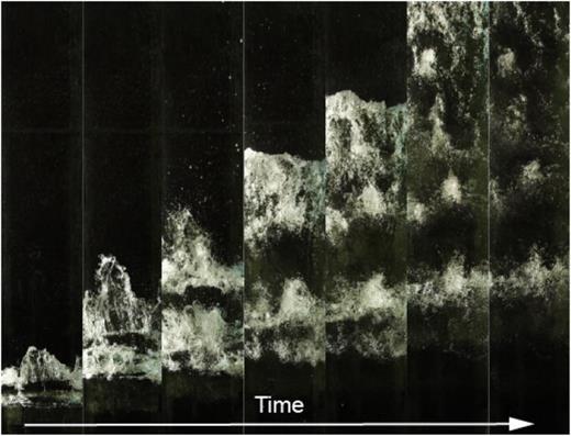 Time-lapse images of the breaking wave event in a laboratory wave generating tank filmed from the top-view (image size approximately 0.5 m width  × 2.8 m height).