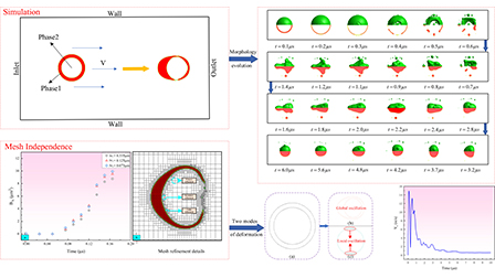 A numerical investigation on the morphology evolution of compound ...