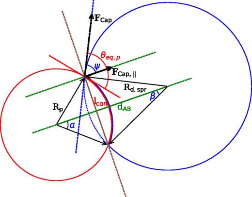 Geometrical representation of the analytical capillary force in the case of a spherical particle (red circle) and a stationary spherical droplet (blue circle).