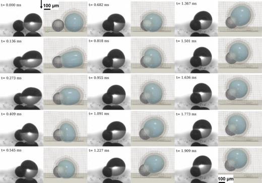 Comparison between experimentally obtained video images by Yan et al.35 (left columns) and our numerical simulation (right columns) for all stages of the droplet–particle coalescence and jumping process. Instants are presented increasing top to bottom, column-wise. The particle radius is  Rp=80 μm (left sphere), and the water droplet radius is  Rd=120 (right sphere). The numerical instants match the corresponding experimental ones. We depict the adaptive mesh refinement (AMR). We note a great resemblance of variation of droplet shapes and particle–droplet positions at all instants between the simulations and experiments. The top left image denotes the gravitational vector with a black arrow. Reprinted/adapted with permission from Yan et al., ACS Nano 16, 12910–12921 (2022). Copyright 2022 American Chemical Society.
