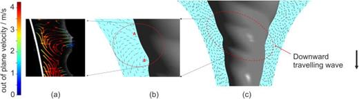 Downward traveling wave. Results from stereoscopic particle image velocimetry in the (a) Twisted regime36 compared to this simulation [(b) and (c)].