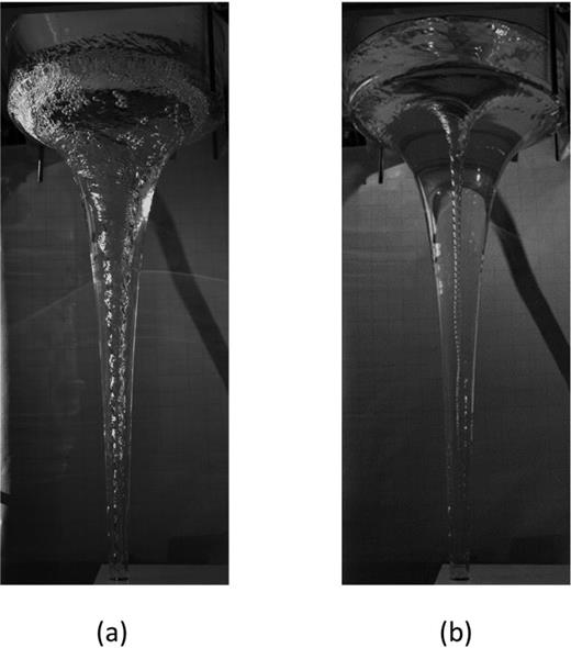 Exemplary experimental images of the (a) Twisted and (b) Straight regimes.15,23,24