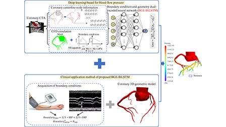 Deep learning-based real-time prediction of coronary artery blood flow ...