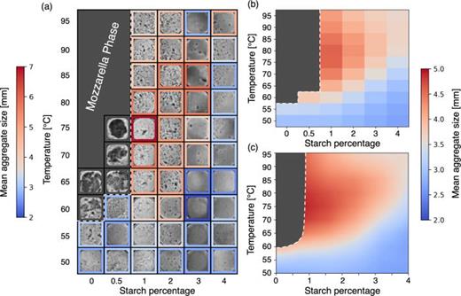 Starch mitigates protein clumps. (a) Phase diagram of the sauce state as a function of the starch percentage with respect to the water and temperature in Celsius. Each box contains a snapshot of the sauce mixture taken during the experiment, and its contour reflects the mean size of the corresponding sample via the color map shown on the left. The Mozzarella Phase indicates a region of the phase diagram where the cheese in the sample forms a clump of a size comparable to that of the system. (b) The same phase diagram from (a) after applying Gaussian smoothing to better visualize phase behavior. The color represents the mean aggregate size in the sample. (c) Kernel regression smoothing of the phase diagram in (a) to obtain a continuous map. The color map on the right refers to panels (b) and (c).