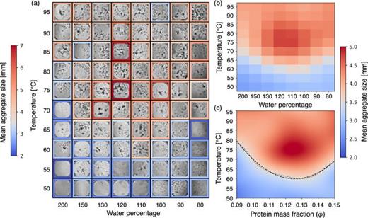 Protein amount tunes aggregate formation. (a) Phase diagram of the sauce made by combining 50 g of cheese with a varying amount of starch-enriched water (here expressed as a mass percentage) as a function of the mixture temperature. The starch percentage is fixed to 1%. Each box is colored with respect to the mean size of cheese clumps. (b) Same phase diagram as in (a) after Gaussian smoothing, where each point is colored according to the map of the mean aggregate size (color map on the right). (c) Phase diagram expressed as a function of protein mass fraction  ϕ, which is the component that leads to aggregation. Kernel regression smoothing has been applied to obtain a continuous diagram. The dashed gray line indicates the isoline of median aggregate size, while the dashed black line represents the parabolic fit separating homogeneous from clumped domains.