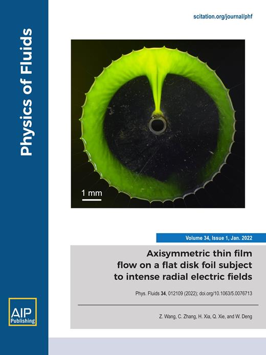 Physics of Fluids Cover Image for Volume 34, Issue 1