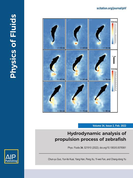 Physics of Fluids Cover Image for Volume 34, Issue 2